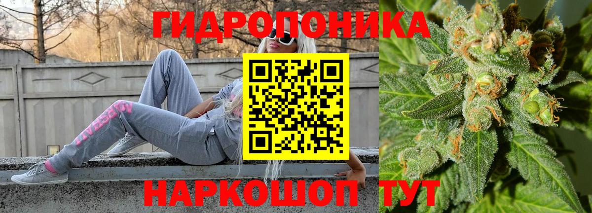 Бошки Шишки план  Конопля тримм  Вход с VPN  Марихуана OG Kush  Бошки Шишки VHQ  Нижнеудинск 